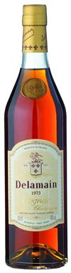 Cognac - Delamain Vintage 1973 - 70 cl.